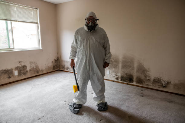 Best Residential Mold Removal  in USA